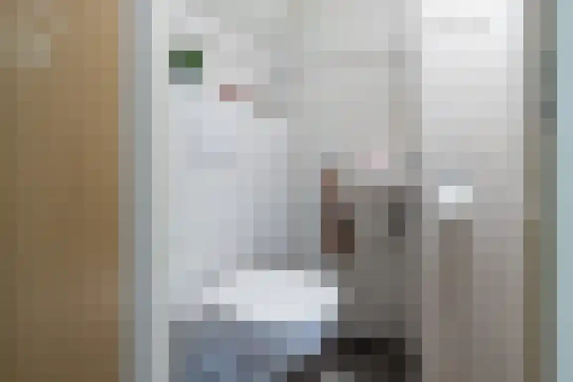 Dirkdoensweg 4 Ouddorp thumbnail 6