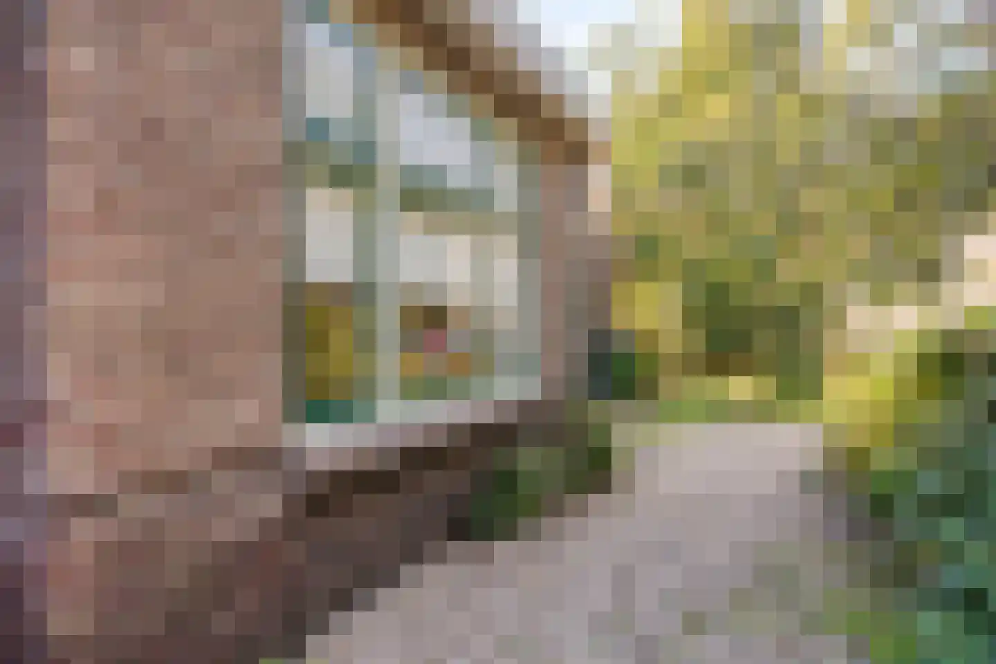 Dirkeweideweg 25 Ede thumbnail 25