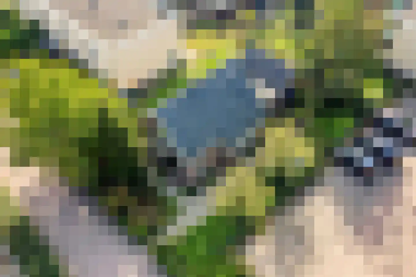 Dirkeweideweg 25 Ede thumbnail 29