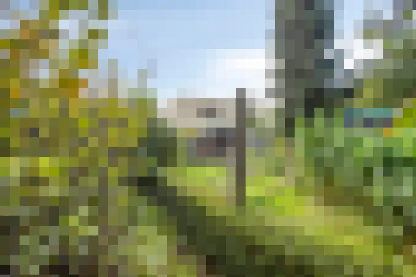 Dirkeweideweg 25 Ede thumbnail 30