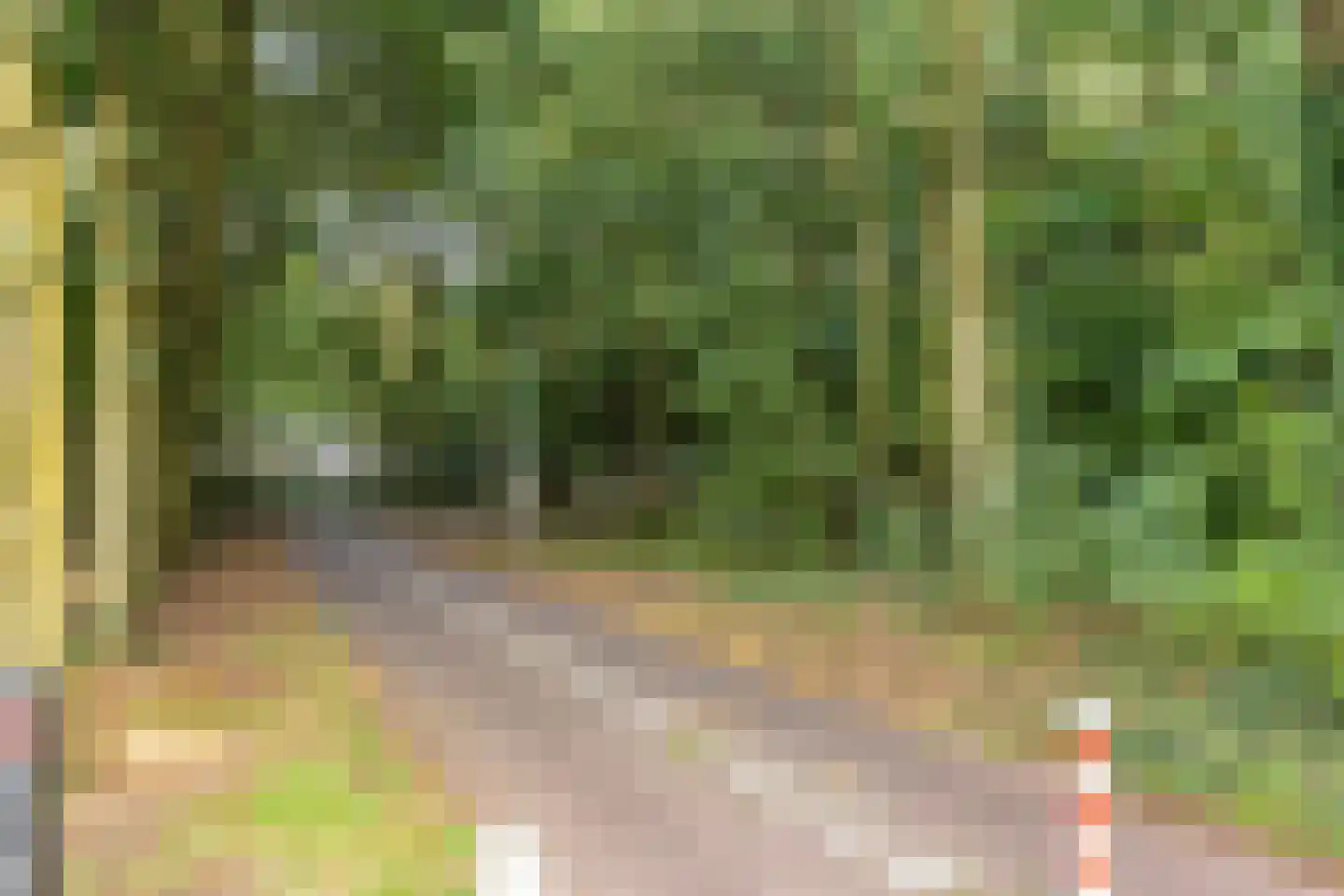 Dirkeweideweg 25 Ede thumbnail 31