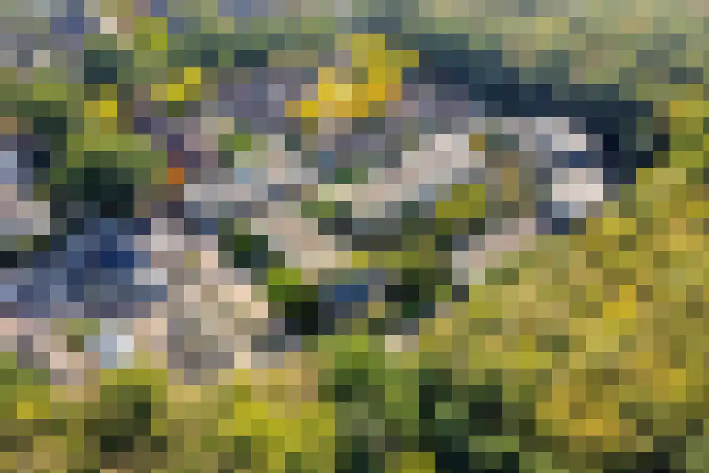 Dirkeweideweg 25 Ede thumbnail 32