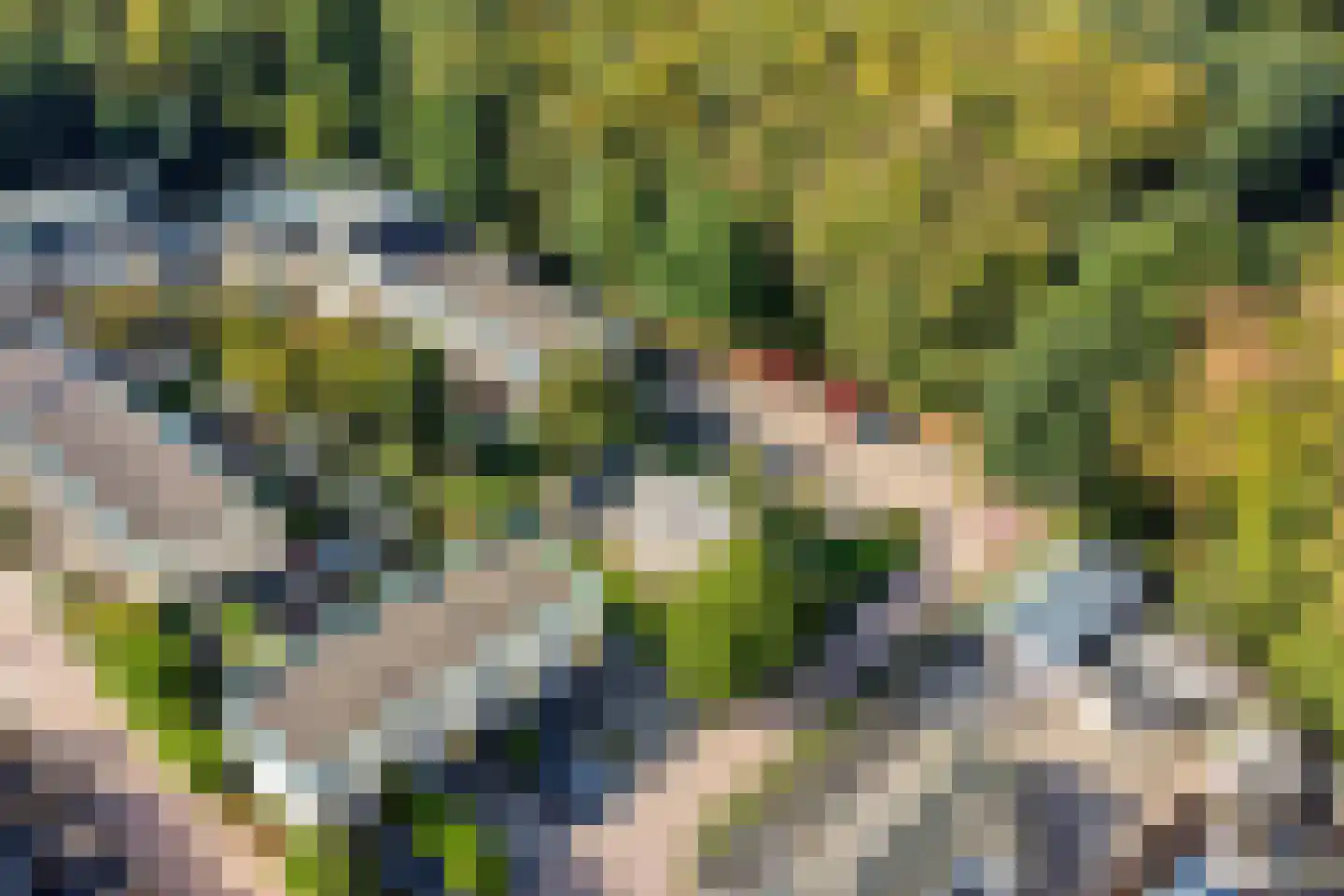 Dirkeweideweg 25 Ede thumbnail 33