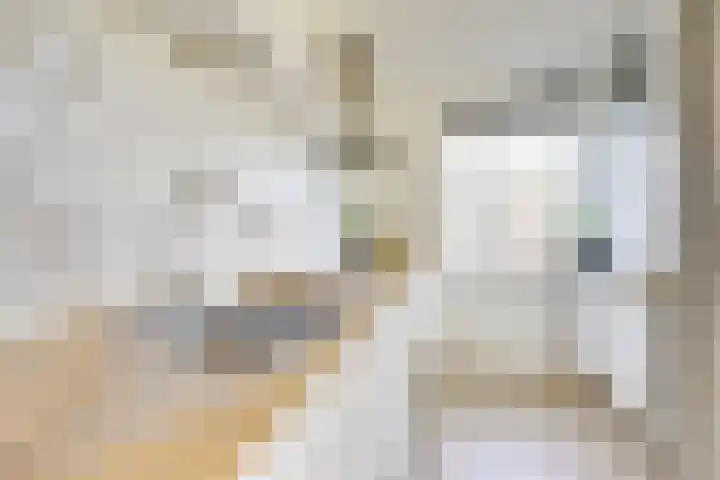 Dirkje Mariastraat 17 BS Utrecht thumbnail 15