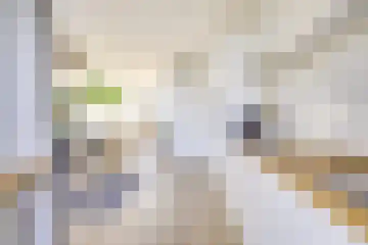Dirkje Mariastraat 17 BS Utrecht thumbnail 16
