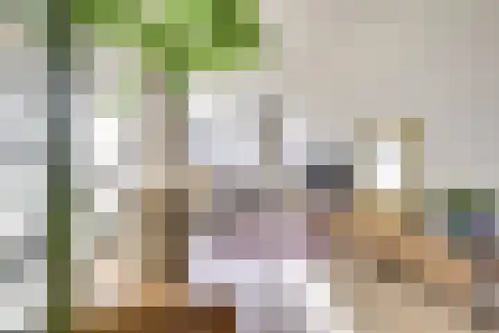 Dirkje Mariastraat 17 BS Utrecht thumbnail 7