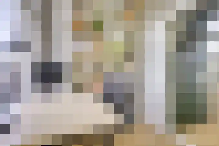 Dirkje Mariastraat 17 BS Utrecht thumbnail 9
