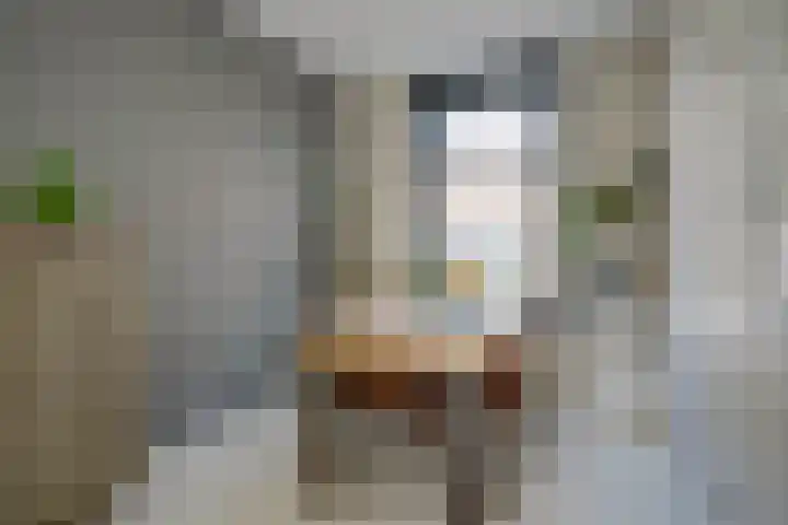 Dirkje Mariastraat 20 Utrecht thumbnail 11
