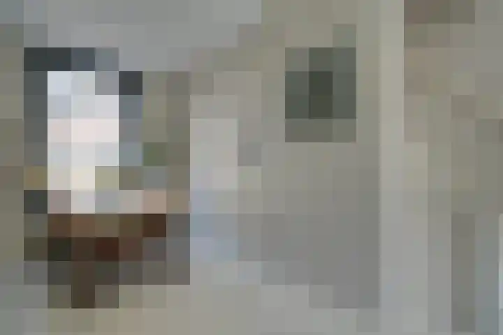 Dirkje Mariastraat 20 Utrecht thumbnail 12