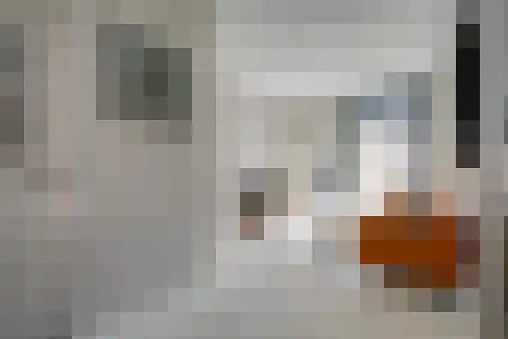 Dirkje Mariastraat 20 Utrecht thumbnail 13