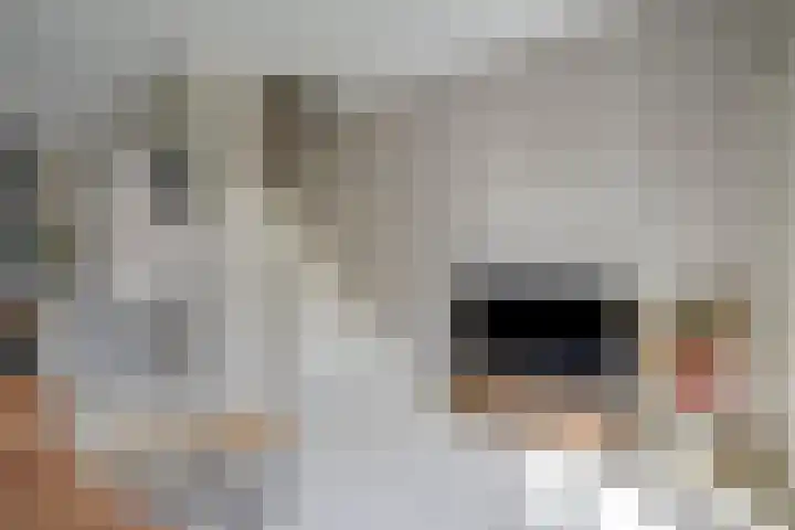 Dirkje Mariastraat 20 Utrecht thumbnail 16