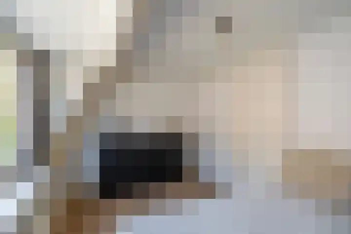 Dirkje Mariastraat 20 Utrecht thumbnail 30