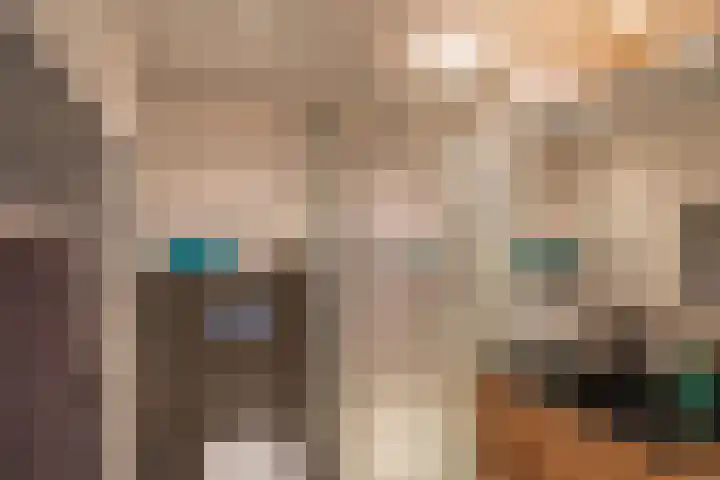 Dirkje Mariastraat 20 Utrecht thumbnail 32