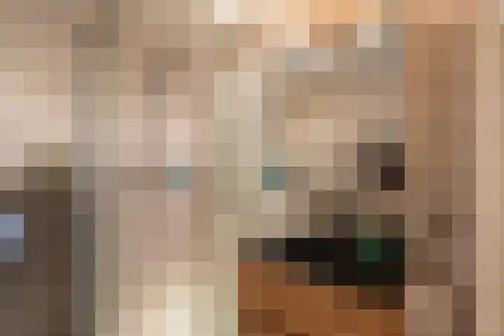 Dirkje Mariastraat 20 Utrecht thumbnail 33