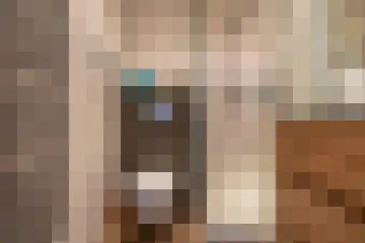 Dirkje Mariastraat 20 Utrecht thumbnail 34