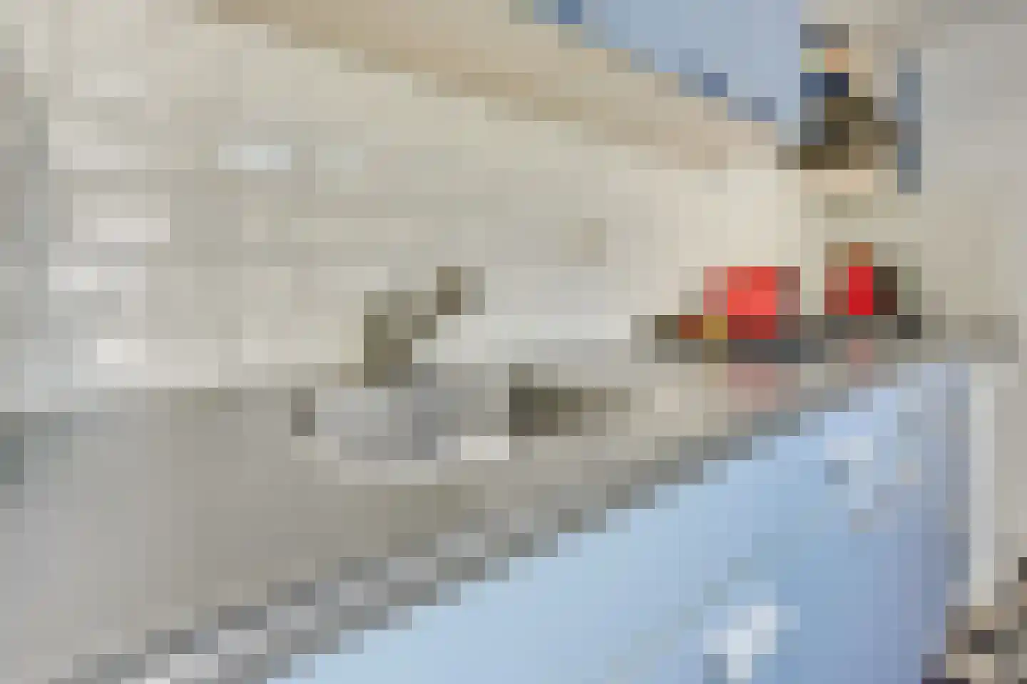 Dirkje Mariastraat 24 Utrecht thumbnail 17