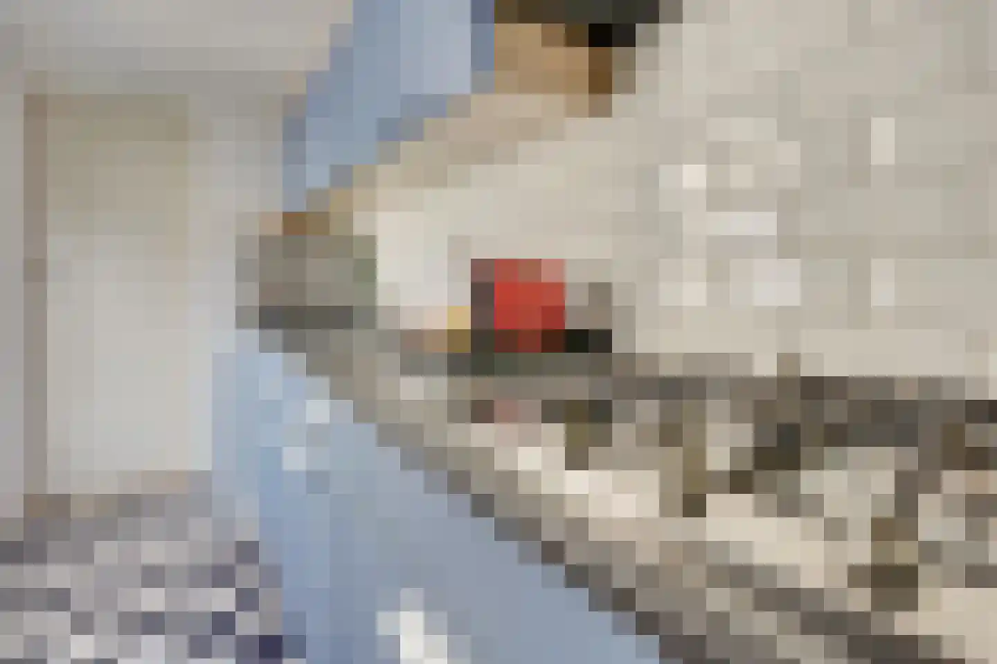 Dirkje Mariastraat 24 Utrecht thumbnail 18