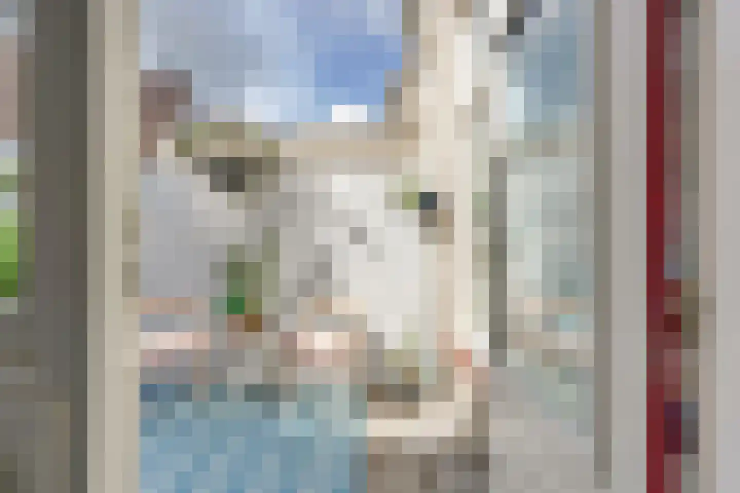 Dirkje Mariastraat 24 Utrecht thumbnail 20