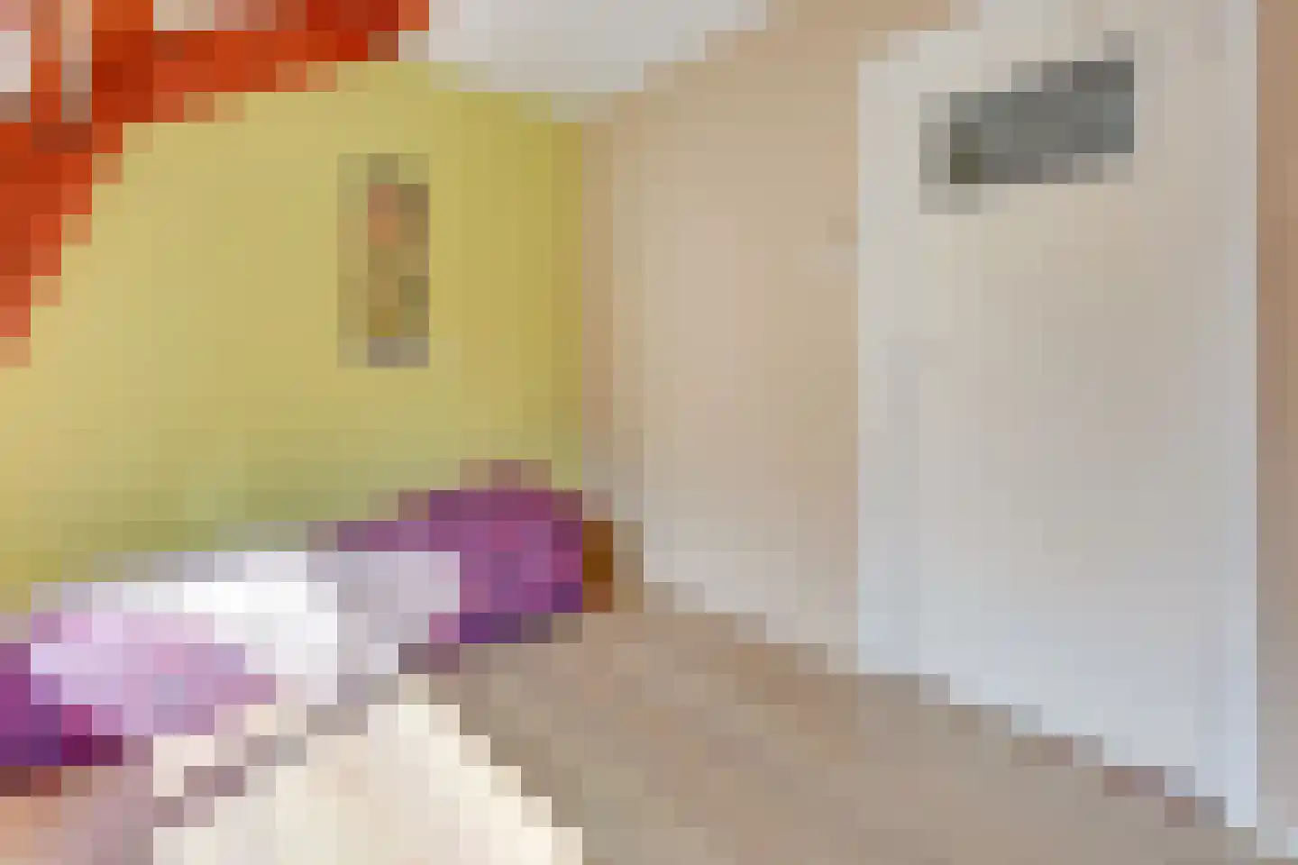 Dirkje Mariastraat 24 Utrecht thumbnail 32