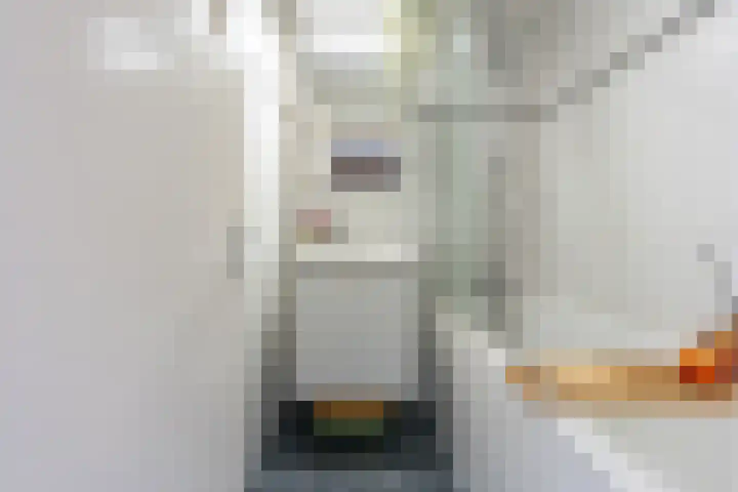Dirkje Mariastraat 24 Utrecht thumbnail 36