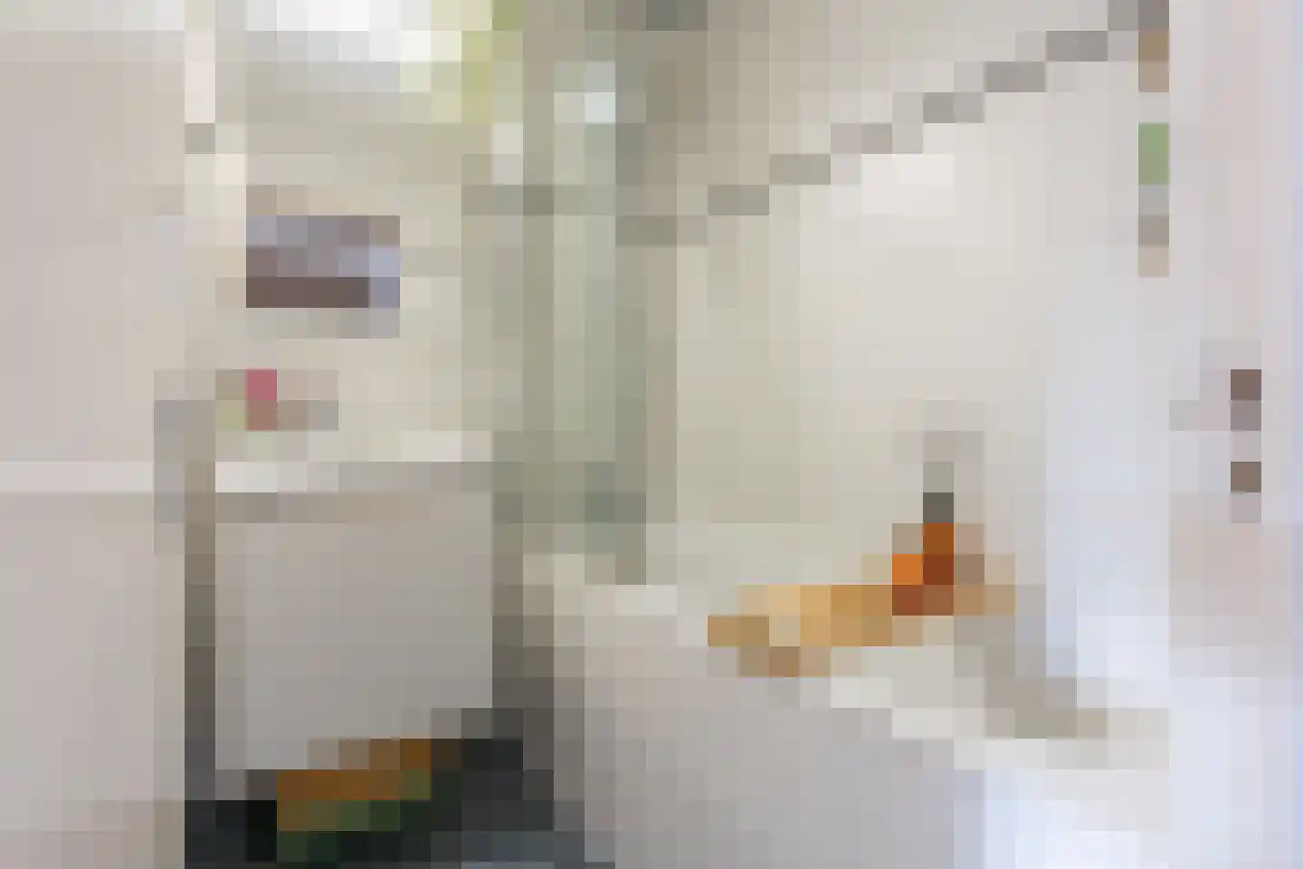 Dirkje Mariastraat 24 Utrecht thumbnail 38