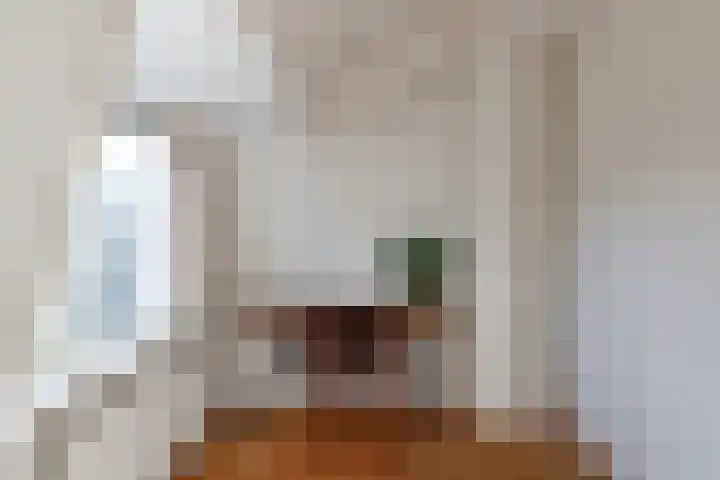 Dirkje Mariastraat 28 Utrecht thumbnail 12