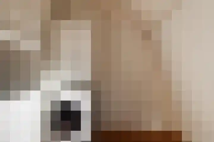 Dirkje Mariastraat 28 Utrecht thumbnail 17