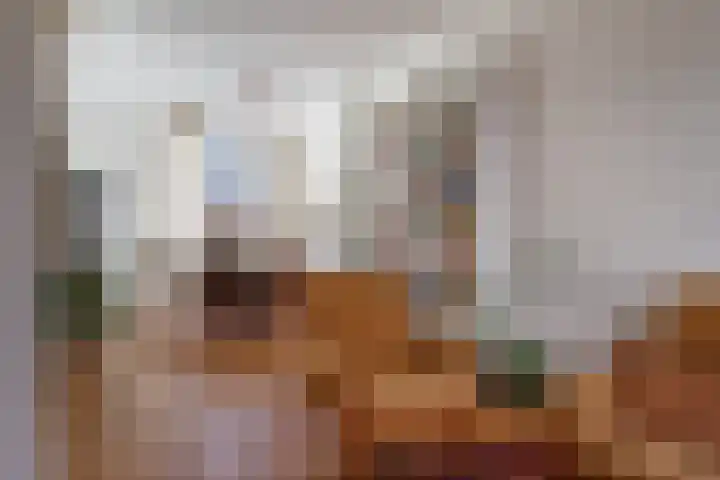 Dirkje Mariastraat 28 Utrecht thumbnail 4
