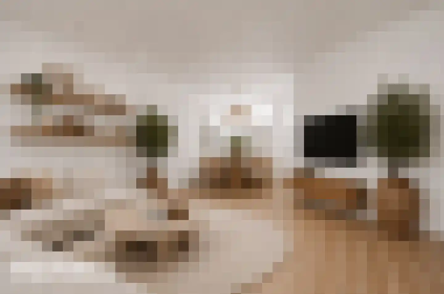 Dirkje Mariastraat 5 Utrecht thumbnail 25