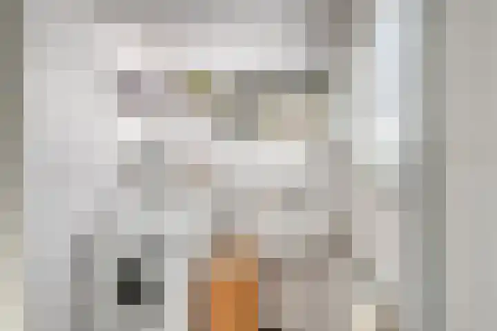 Dirkje Mariastraat 7 Utrecht thumbnail 13