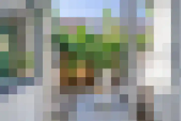 Dirkje Mariastraat 7 Utrecht thumbnail 16