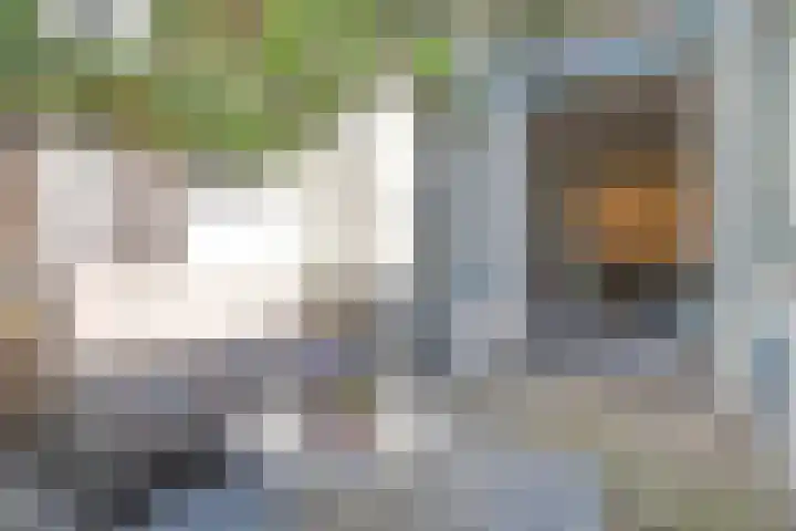 Dirkje Mariastraat 7 Utrecht thumbnail 17
