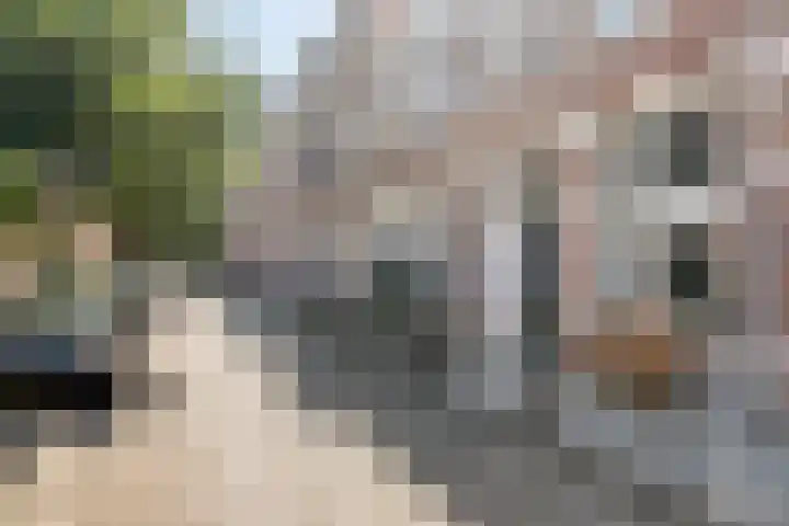 Dirkje Mariastraat 7 Utrecht thumbnail 19