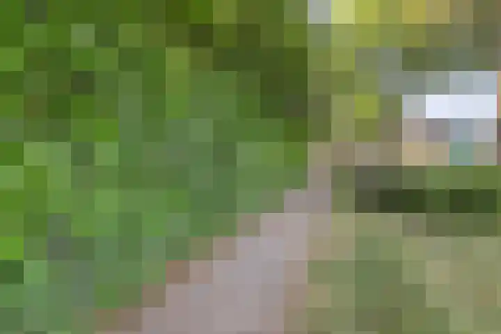 Dirkje Mariastraat 7 Utrecht thumbnail 21