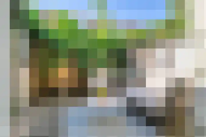 Dirkje Mariastraat 7 Utrecht thumbnail 4