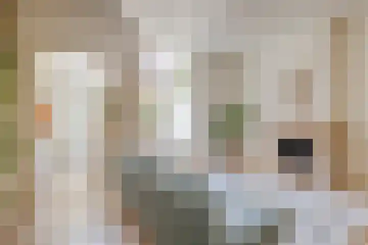 Dirkje Mariastraat 7 Utrecht thumbnail 6
