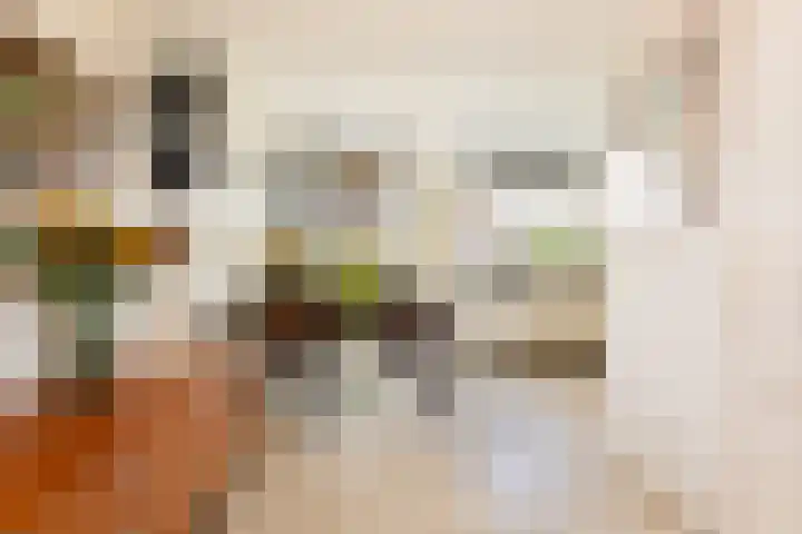 Dirkje van Barneveldweg 22 Austerlitz thumbnail 11