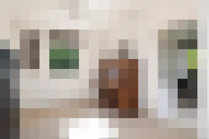 Dirkje van Barneveldweg 22 Austerlitz thumbnail 14