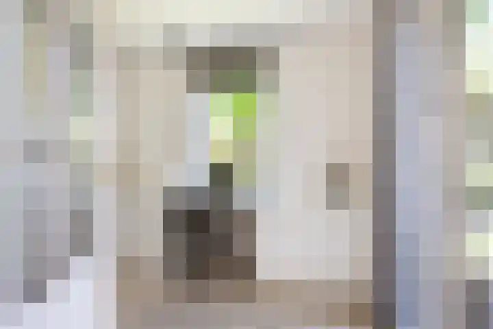 Dirkje van Barneveldweg 22 Austerlitz thumbnail 15