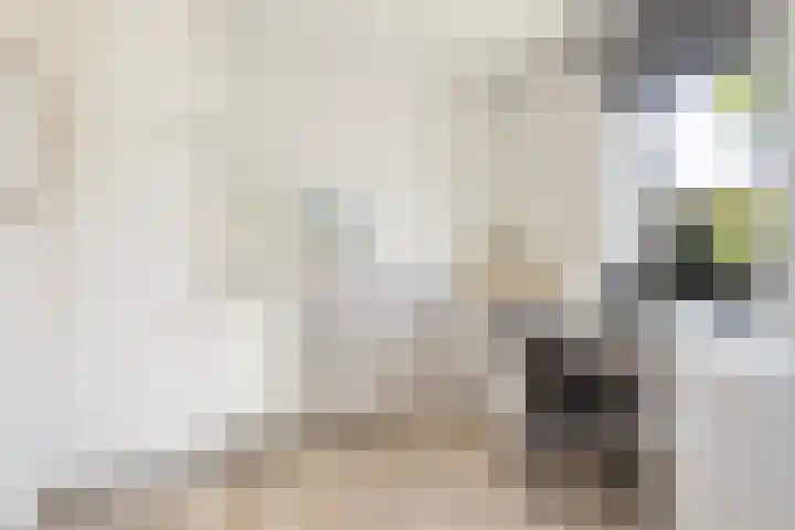 Dirkje van Barneveldweg 22 Austerlitz thumbnail 16