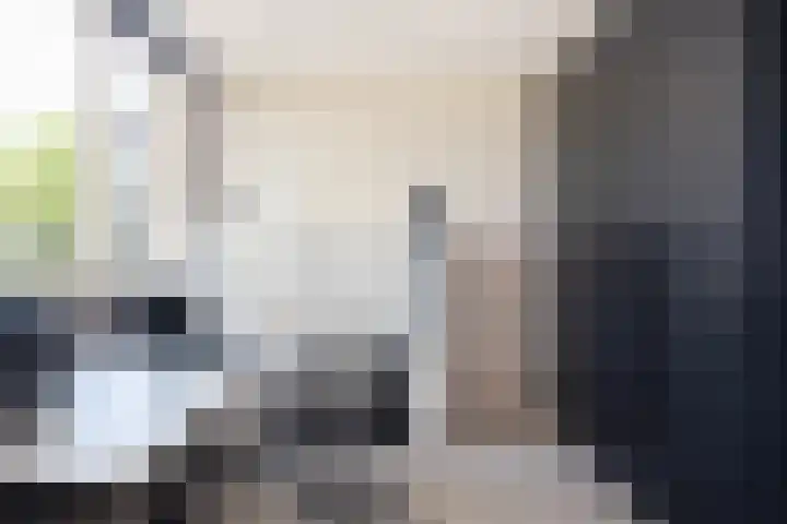 Dirkje van Barneveldweg 22 Austerlitz thumbnail 18