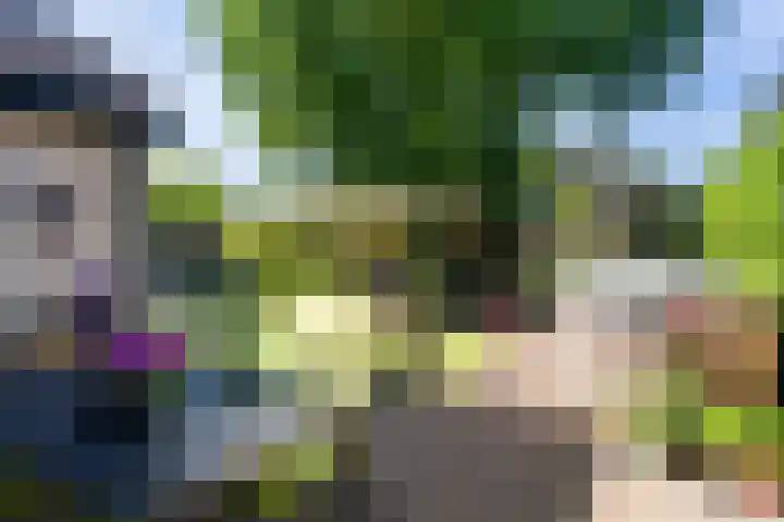Dirkje van Barneveldweg 22 Austerlitz thumbnail 20