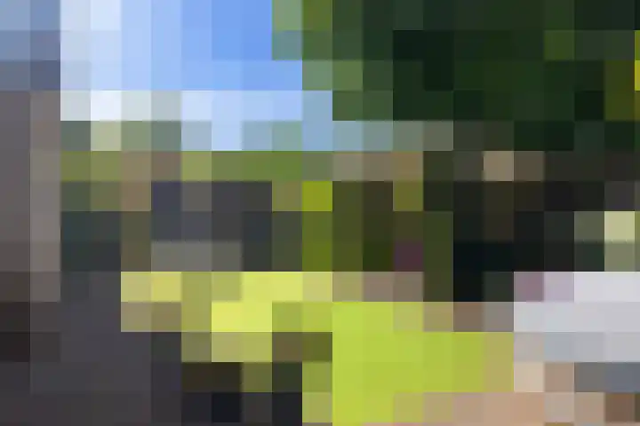 Dirkje van Barneveldweg 22 Austerlitz thumbnail 21