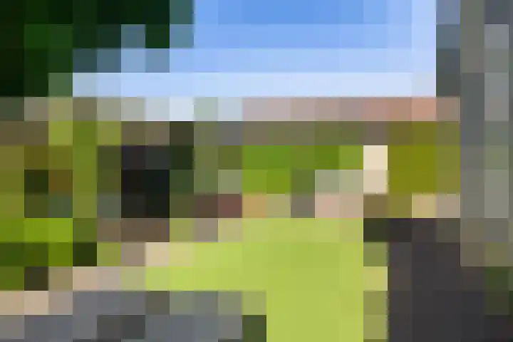 Dirkje van Barneveldweg 22 Austerlitz thumbnail 22