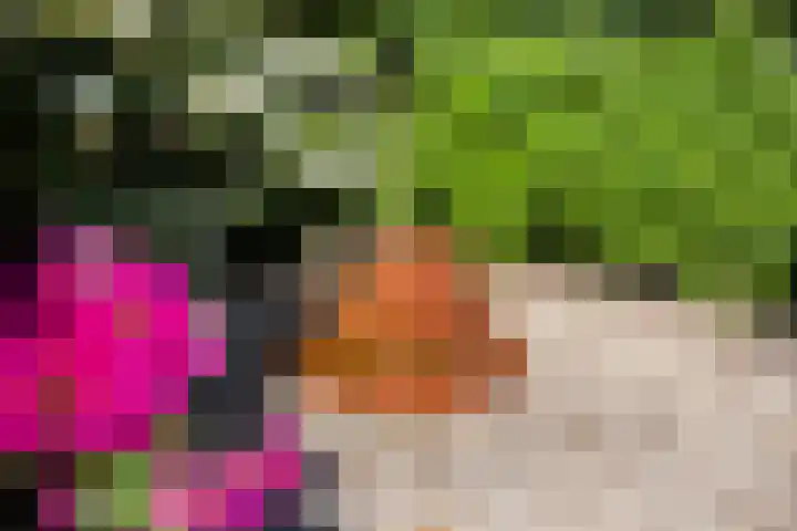 Dirkje van Barneveldweg 22 Austerlitz thumbnail 23