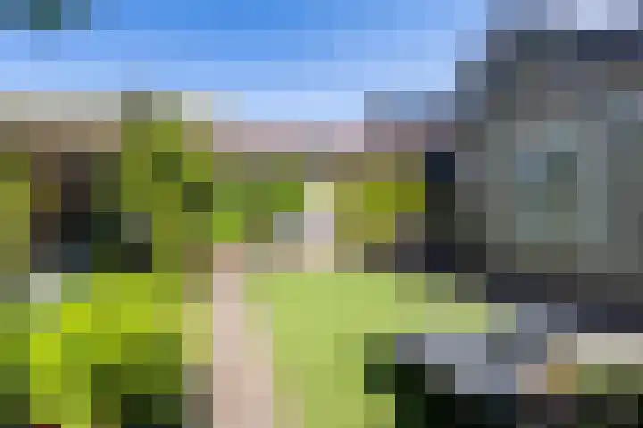 Dirkje van Barneveldweg 22 Austerlitz thumbnail 24