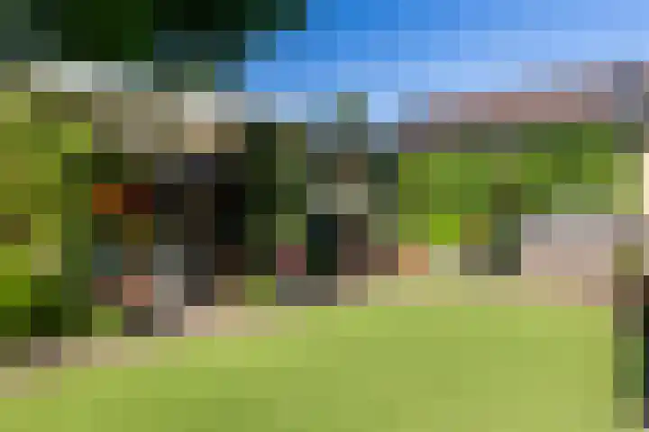 Dirkje van Barneveldweg 22 Austerlitz thumbnail 25