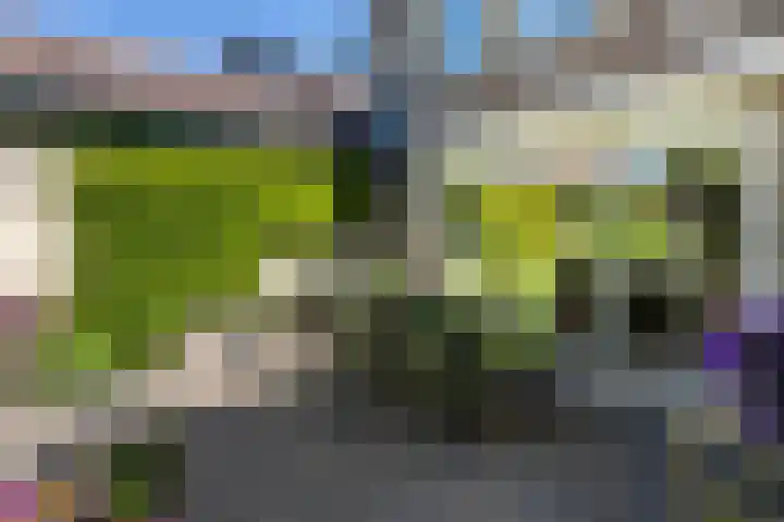 Dirkje van Barneveldweg 22 Austerlitz thumbnail 26