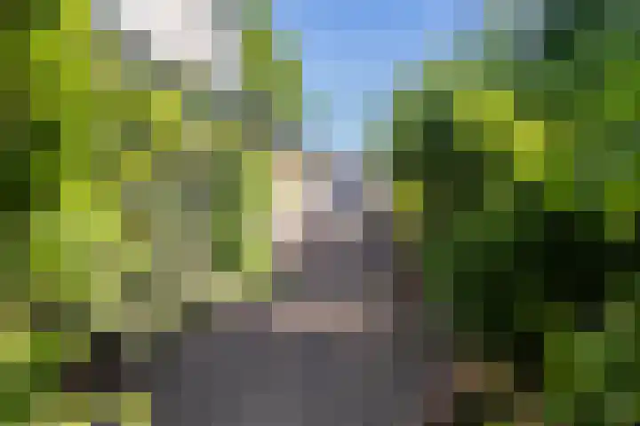 Dirkje van Barneveldweg 22 Austerlitz thumbnail 27
