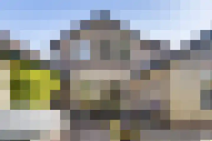 Dirkje van Barneveldweg 22 Austerlitz thumbnail 30